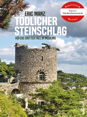 cover image of Tödlicher Steinschlag